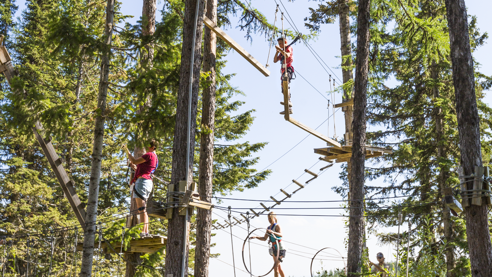 Picture of Lodging Guest - Aerial Adventure Park