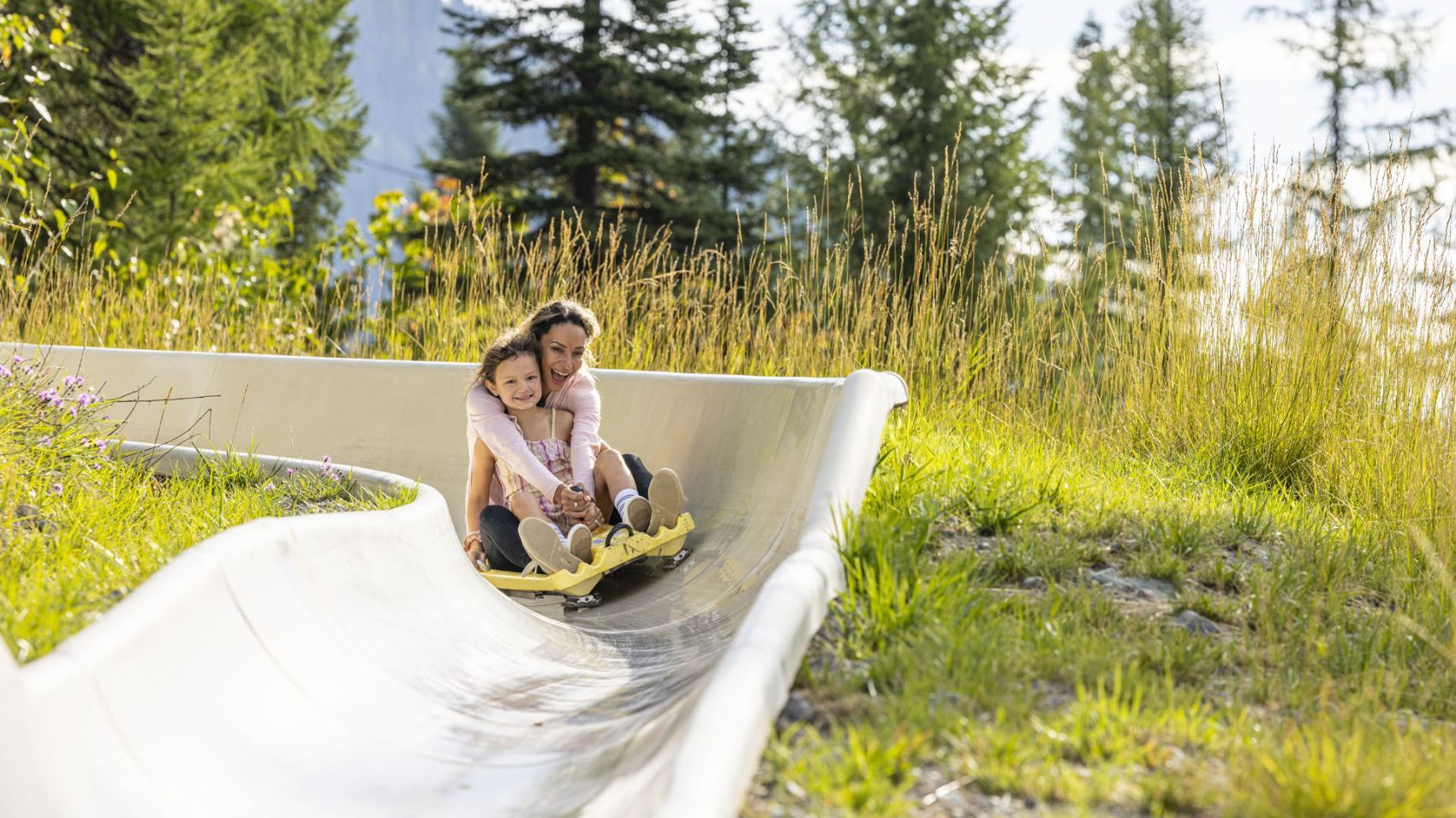 Picture of Alpine Slide Ride