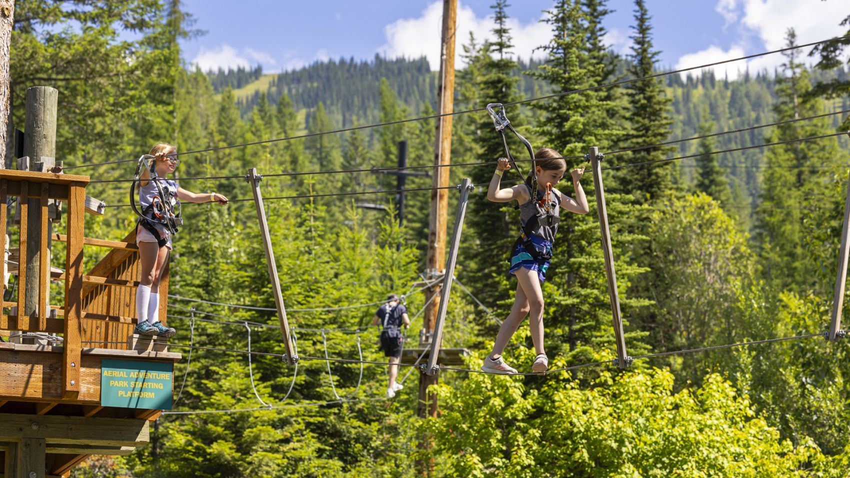 Picture of Aerial Adventure Park