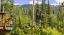 Picture of Aerial Adventure Park