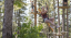 Picture of SMR 25 Aerial Adventure Waiver 